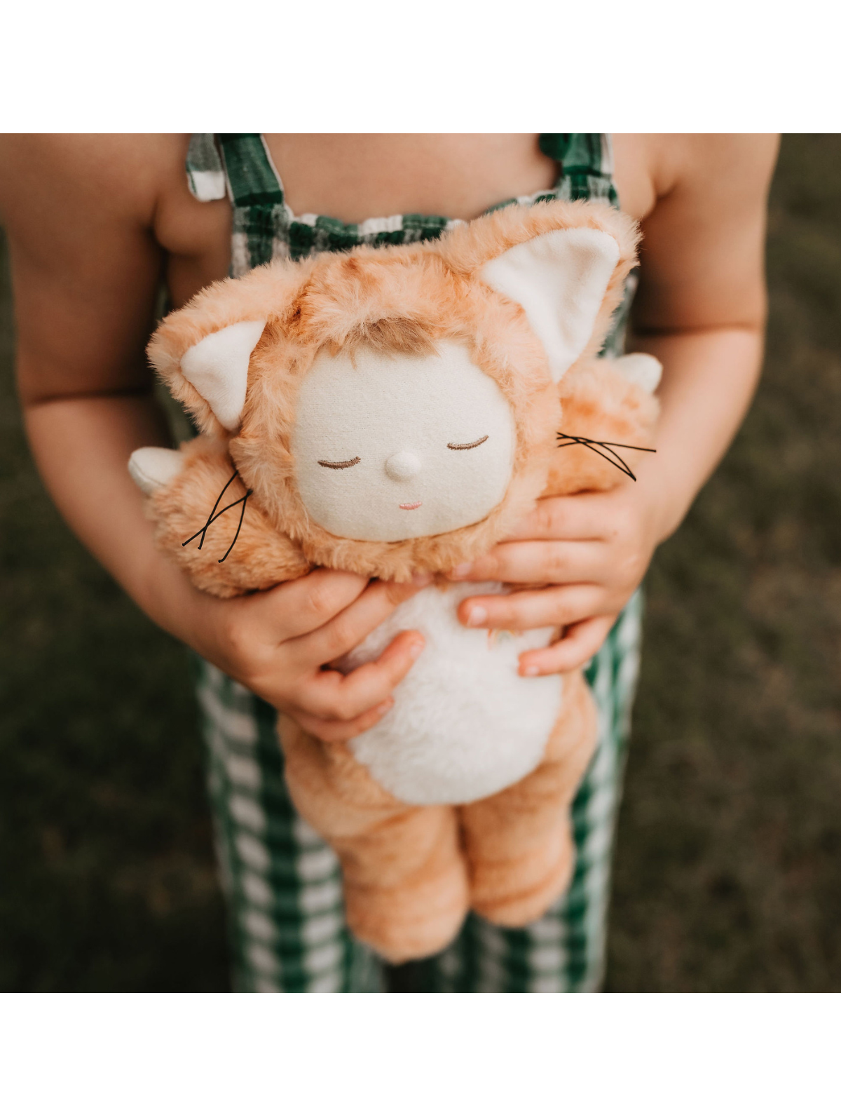 Кошка — изображение 2